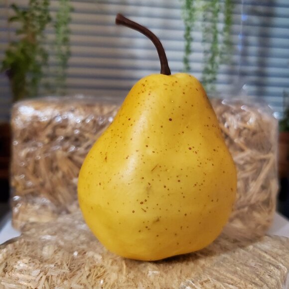 (6) Realistic Artificial Fruit – Home Décor - Picture 6 of 9